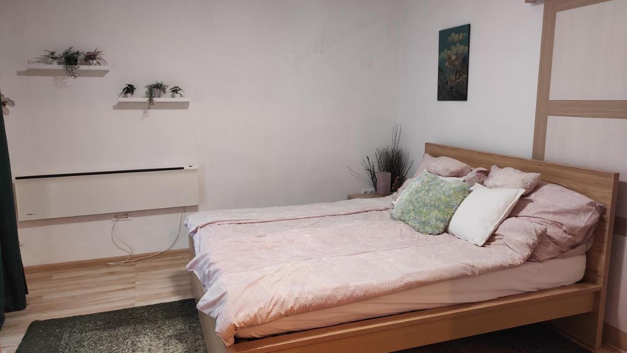 Bubu- Budapest Butterfly'S Екстериор снимка